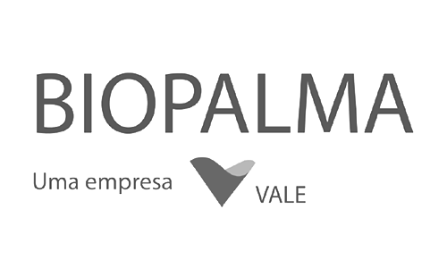 Logo Biopalma Vale